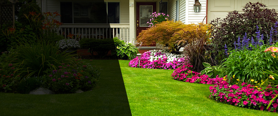 Scottsville Landscapers
